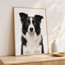 Ladda upp bild till gallerivisning, Border Collie Tavla – Inramat Hundporträtt