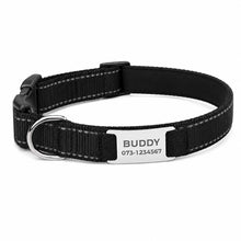 Ladda upp bild till gallerivisning, Hundhalsband med gravyr