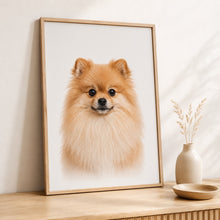 Last opp bilde til gallerivisning, Pomeranian Tavla – Inramat Hundporträtt