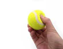 Last opp bilde til gallerivisning, Ball pistol hund