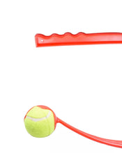 Last opp bilde til gallerivisning, Ballslynge Hund