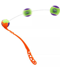 Last opp bilde til gallerivisning, Ballslynge Hund