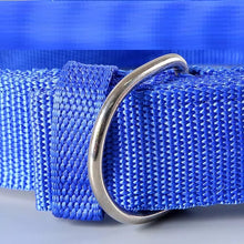 Last opp bilde til gallerivisning, Hundehalsbånd Streetz