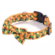 Ladda upp bild till gallerivisning, Hund- och katthalsband med Fluga