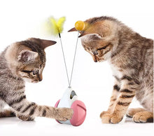 Last opp bilde til gallerivisning, Katteleke Balansehjul