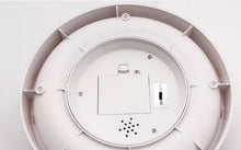 Last opp bilde til gallerivisning, Katteleke Spinning Butterfly