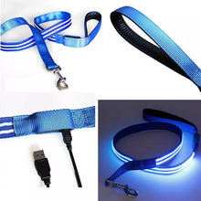 Load image into Gallery viewer, Leash & Collar with LED Light