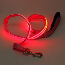 Load image into Gallery viewer, Leash & Collar with LED Light