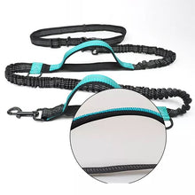 Ladda upp bild till gallerivisning, Koppel Midjekoppel / Joggingkoppel