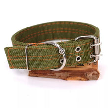 Ladda upp bild till gallerivisning, Hundhalsband Streetz – brett nylonhalsband
