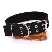 Ladda upp bild till gallerivisning, Hundhalsband Streetz – brett nylonhalsband
