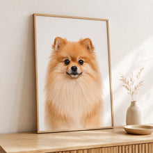 Last opp bilde til gallerivisning, Pomeranian Tavla – Inramat Hundporträtt
