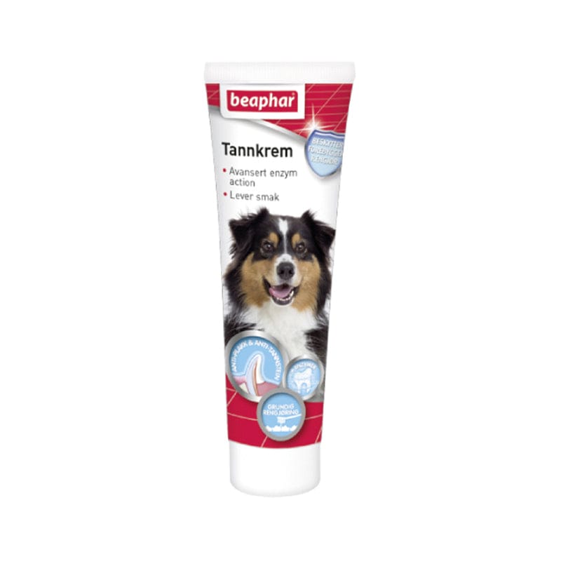 Toothpaste Dog Liver Flavor