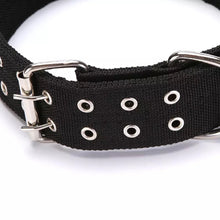 Load image into Gallery viewer, Dog collar Streetz
