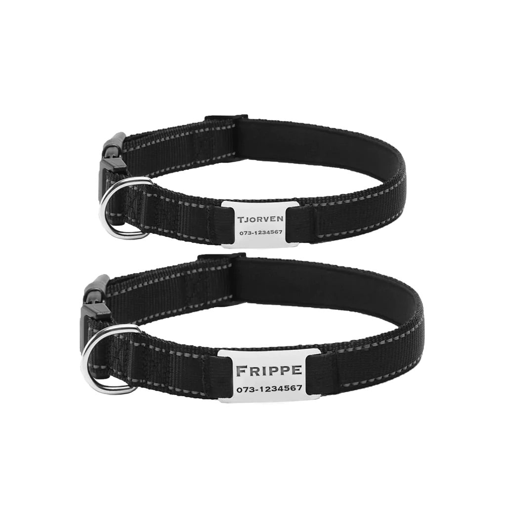 Dog collar with engraving