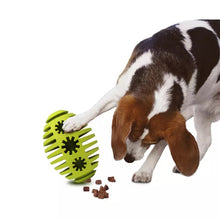 Load image into Gallery viewer, Dog Toy Interactive - Oval Ball
