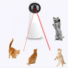 Last opp bilde til gallerivisning, Cat laser automatisk
