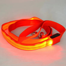 Ladda upp bild till gallerivisning, Koppel &amp; Halsband med LED-Ljus
