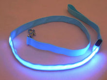 Ladda upp bild till gallerivisning, Koppel &amp; Halsband med LED-Ljus
