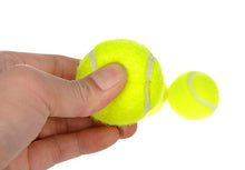 Last opp bilde til gallerivisning, Tennisballer Mini / Treningsballer Hund 6-p
